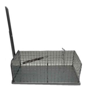 trappola topi galleria 4