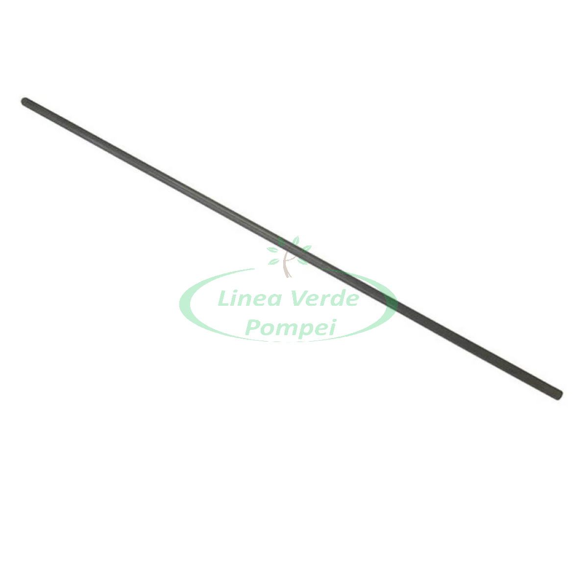 astina carbonio spike