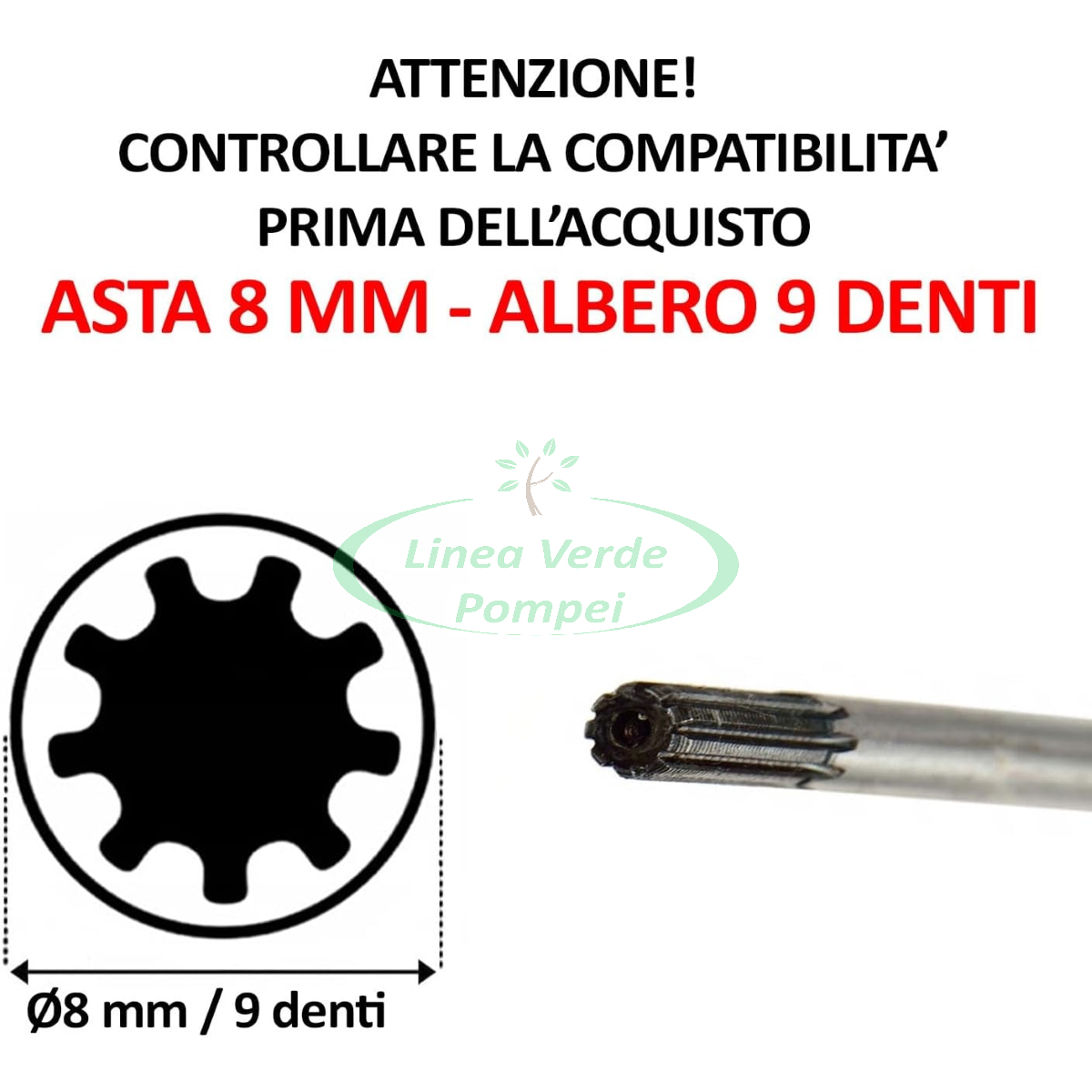 614wpmjMfWL._AC_SL1438_