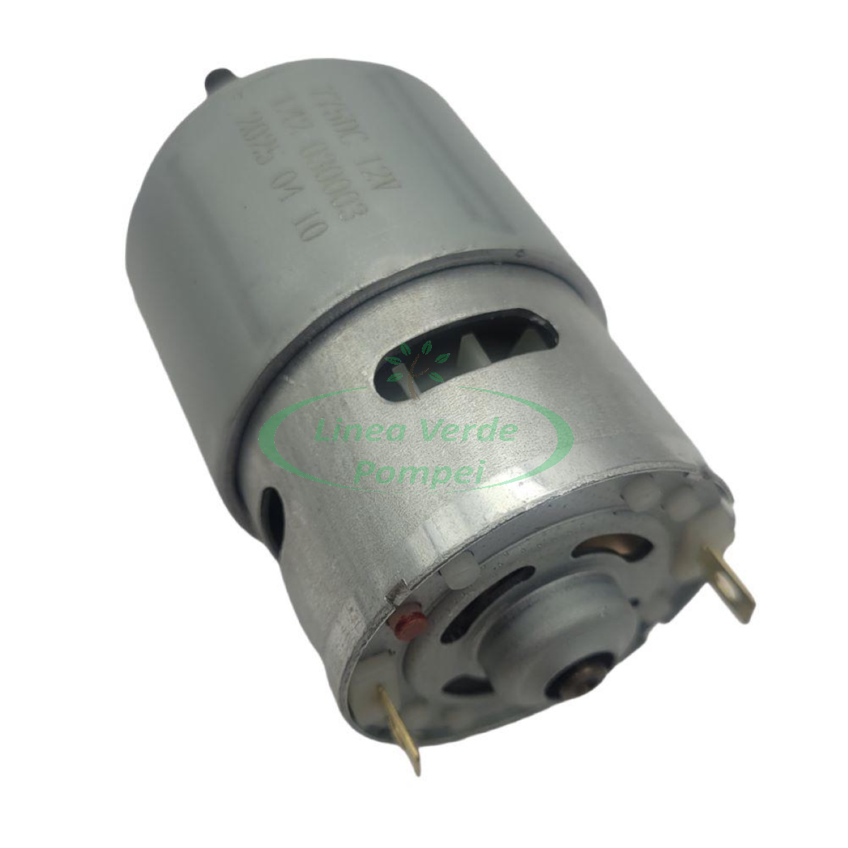 BackgroundEraser_20260119_155117977