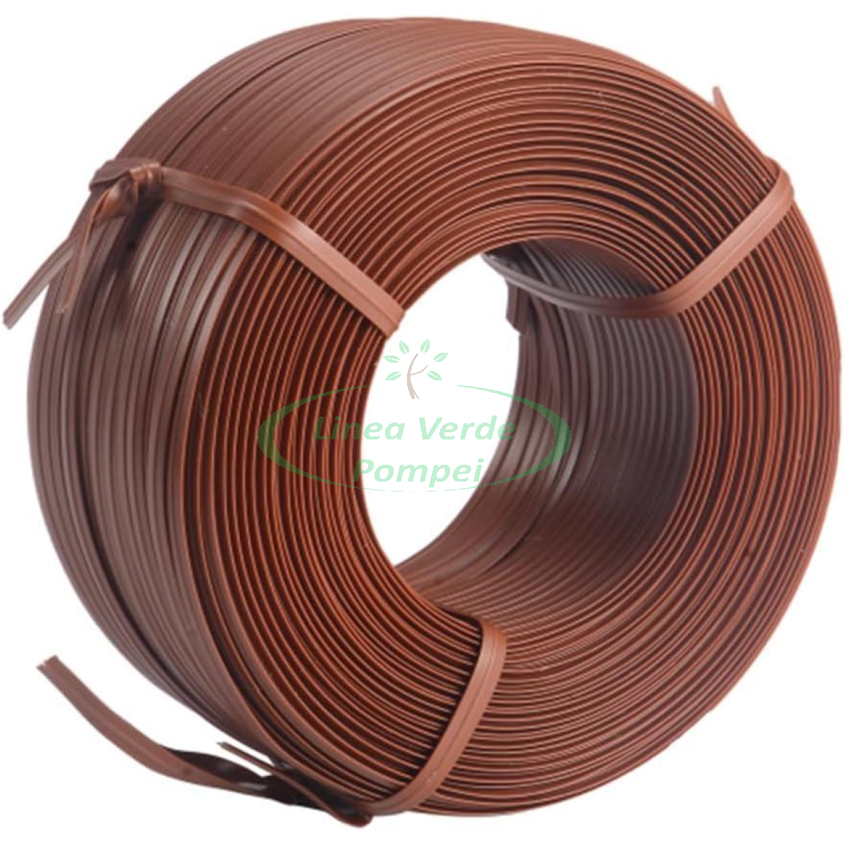 61aXAhakwSL._AC_SL1500_