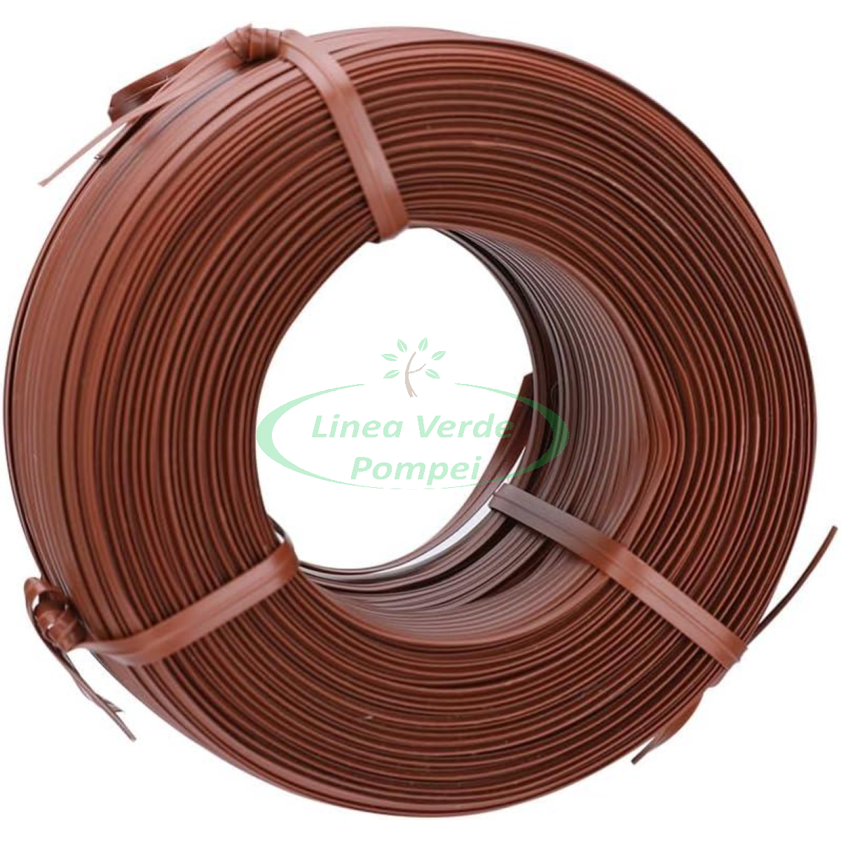 616ELrb9roL._AC_SL1500_