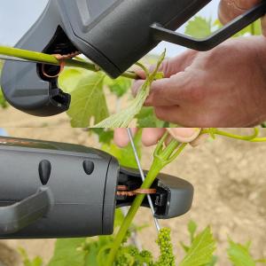 71SBYTknEwL._AC_SL1500_