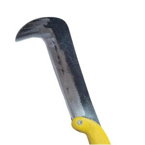 BackgroundEraser_20260225_172652278