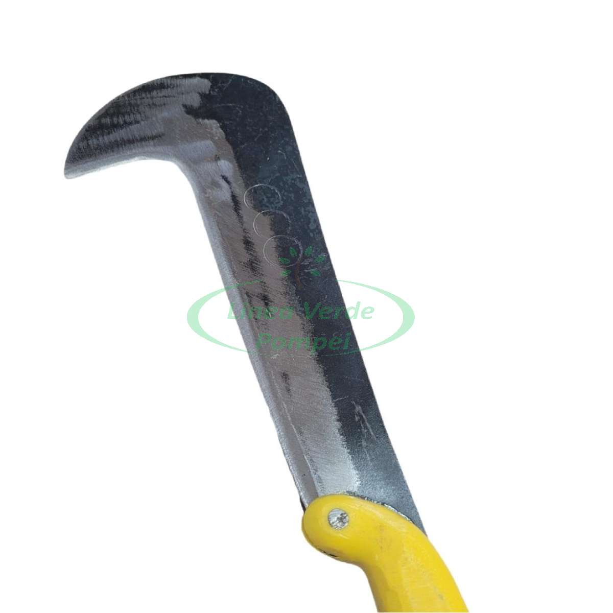 BackgroundEraser_20260225_172652278