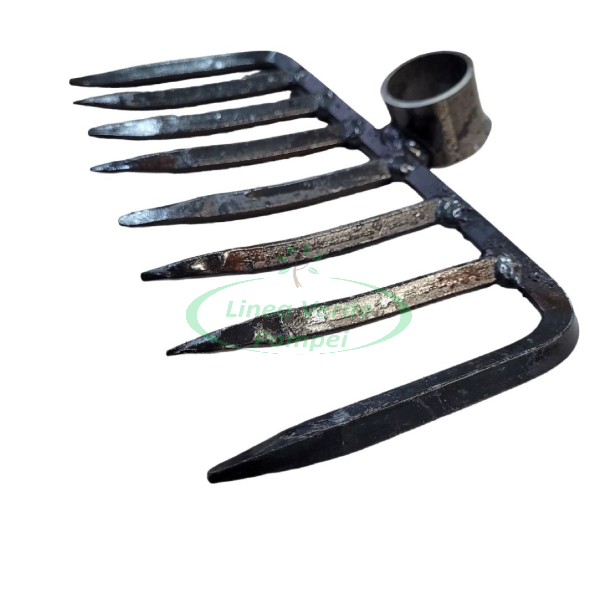 BackgroundEraser_20260225_175407235