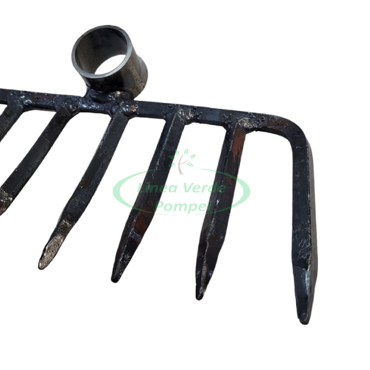 BackgroundEraser_20260225_175917012