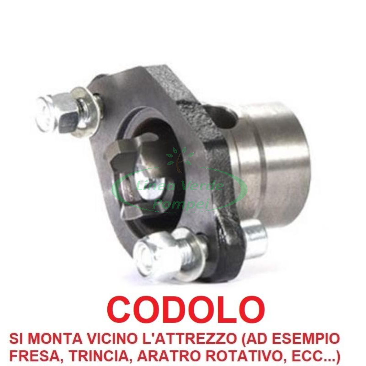 CODOLO