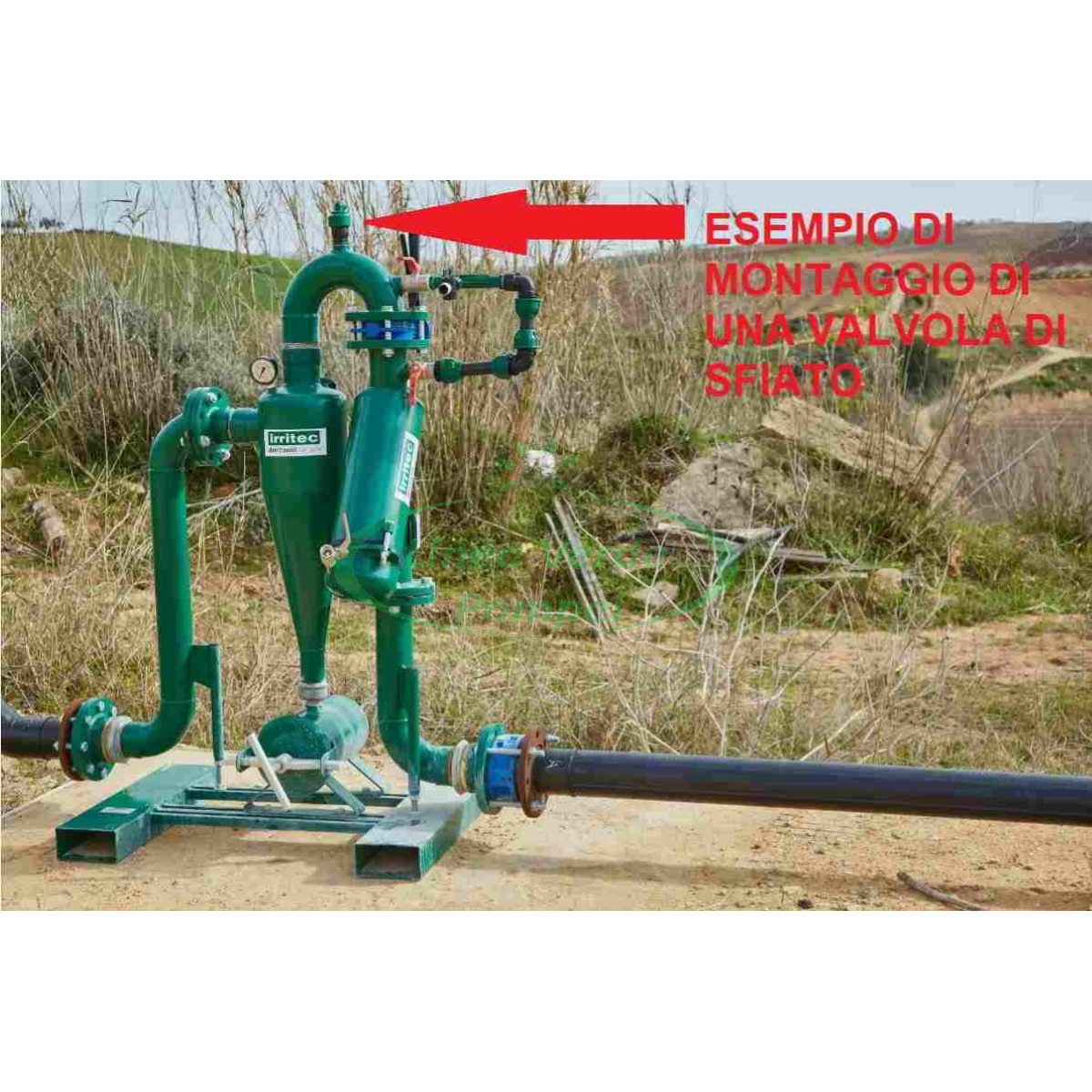 Cattura