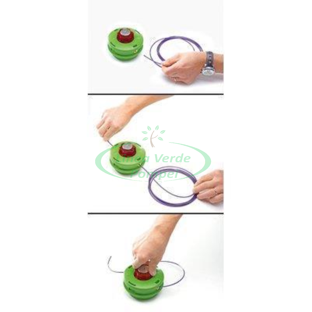 active rapido 2