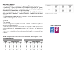 pagina_53 - Copia (2)