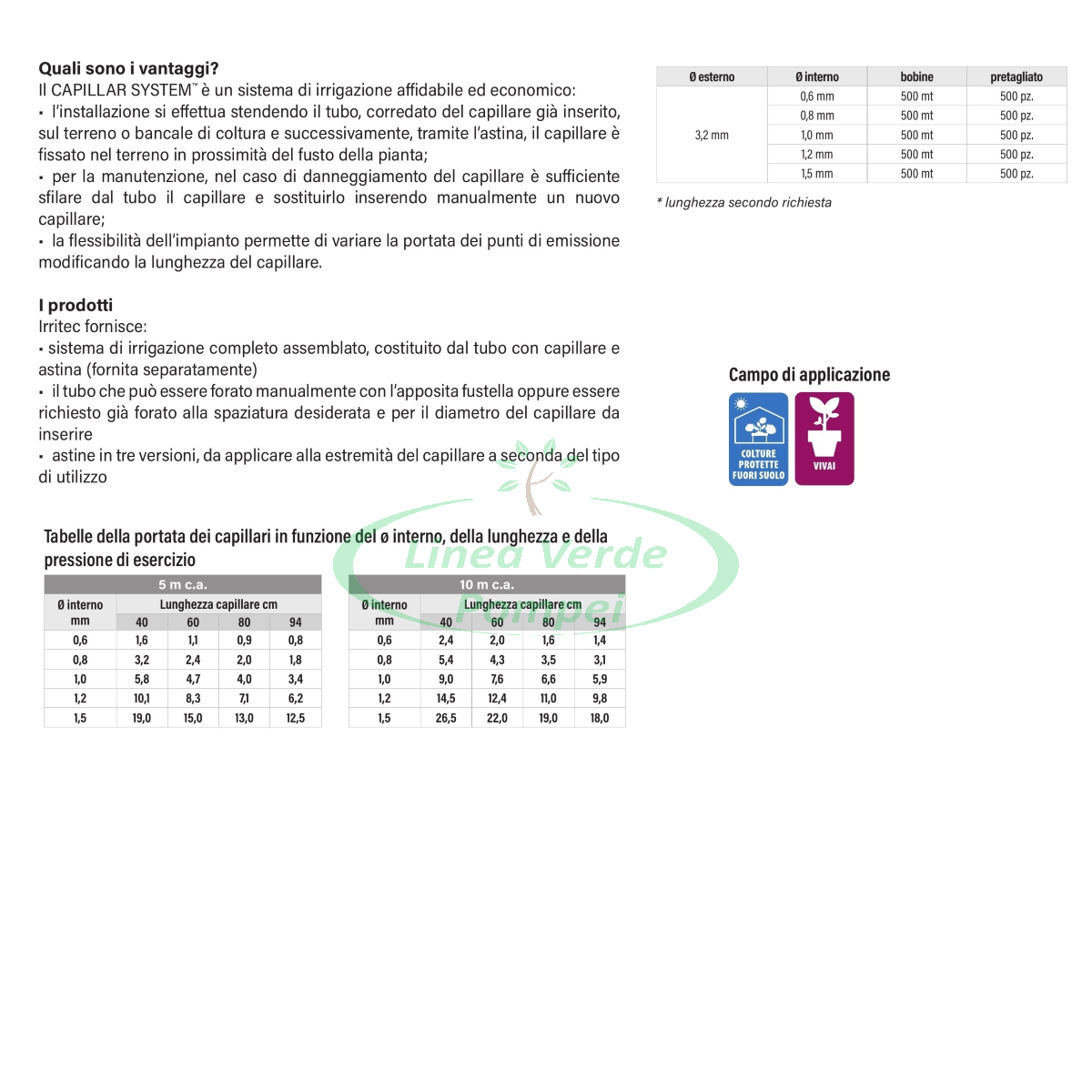pagina_53 - Copia (2)
