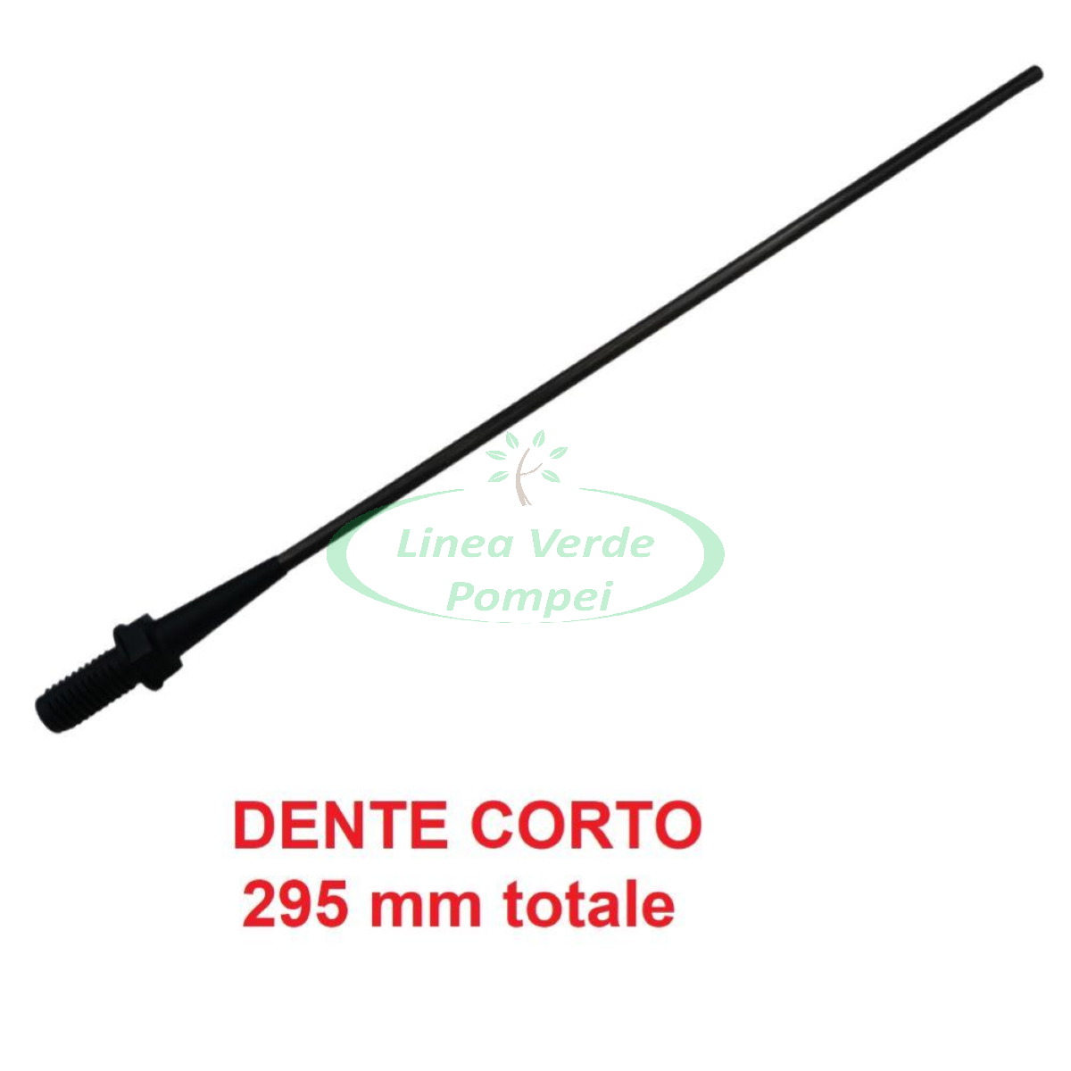 astina vertigo dente corto