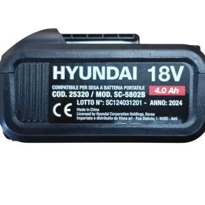 batteria 65620 2