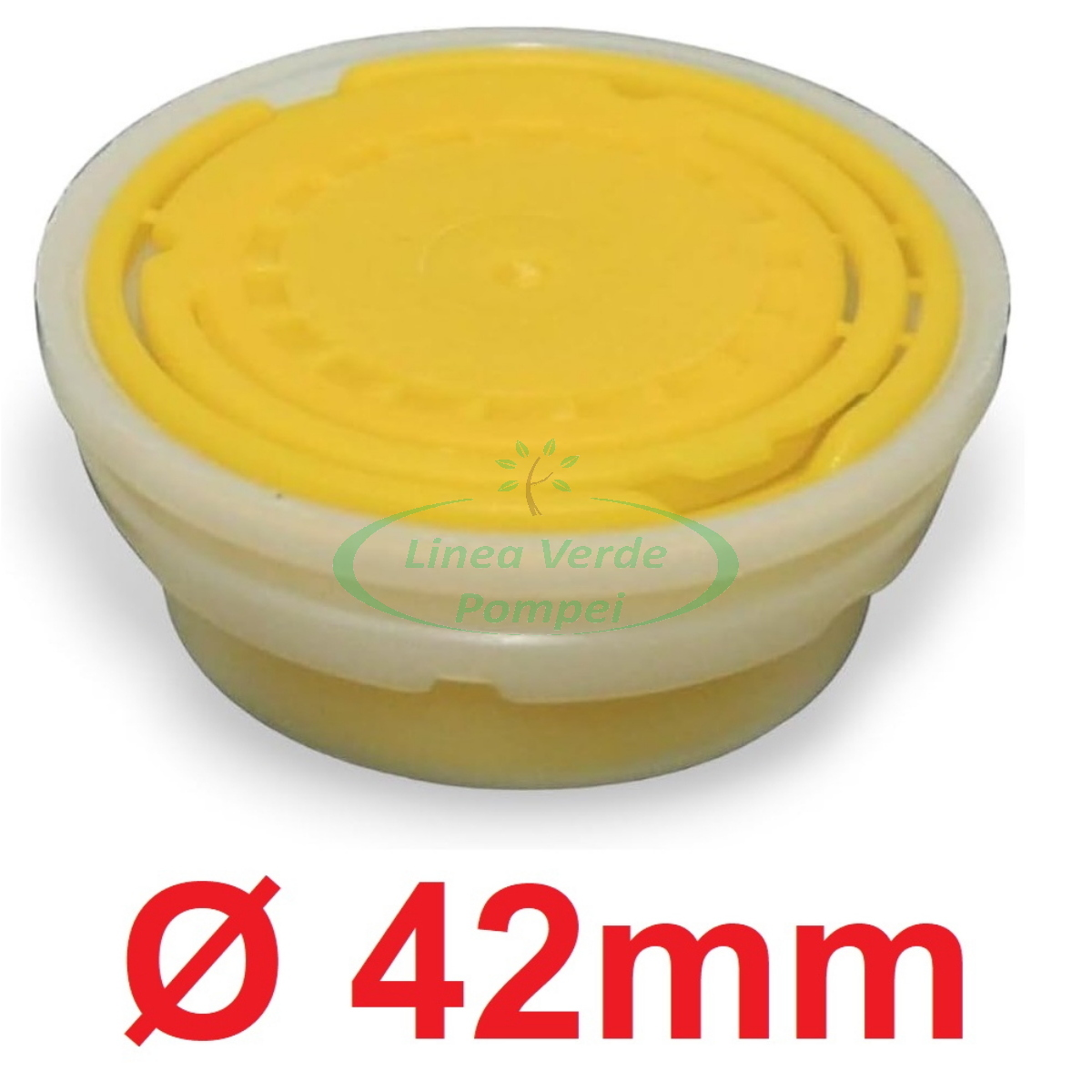 41TiAIeReQL._AC_SL1000_ - Copia - Copia