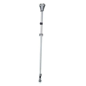 asta decesp cardinale j