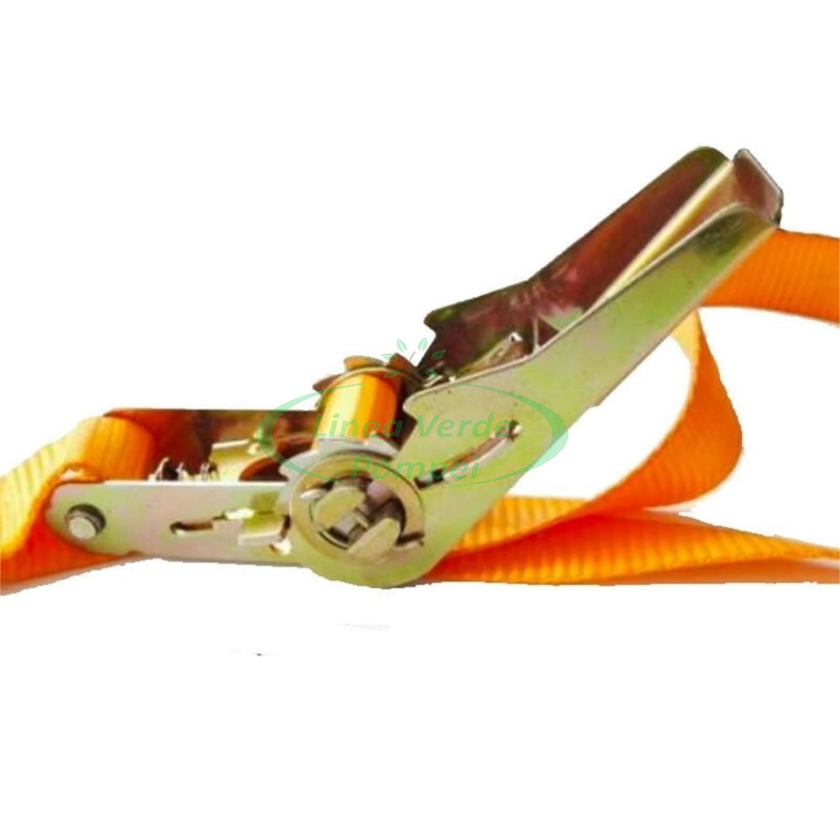 cinghia cricchetto 25 2