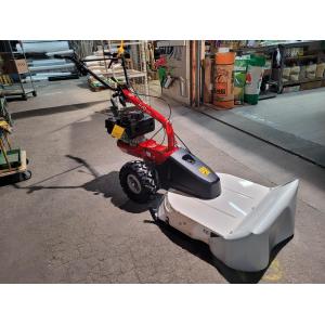 277136317_4879390115431782_7170254286257343662_n