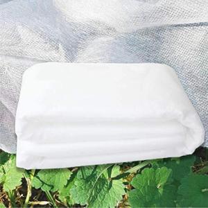 Telo Protettivo Antigelo HaGa: Tessuto Non Tessuto Per Piante, 19g/m² (4,2x1m)