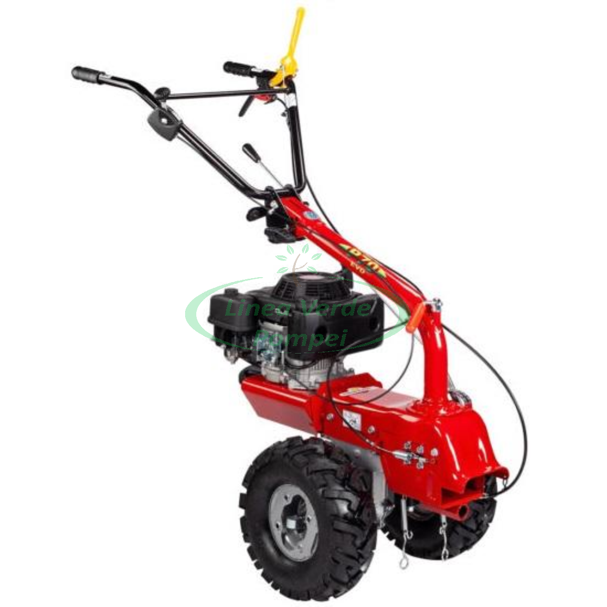 p70loncin-webIMG_0009-600x600