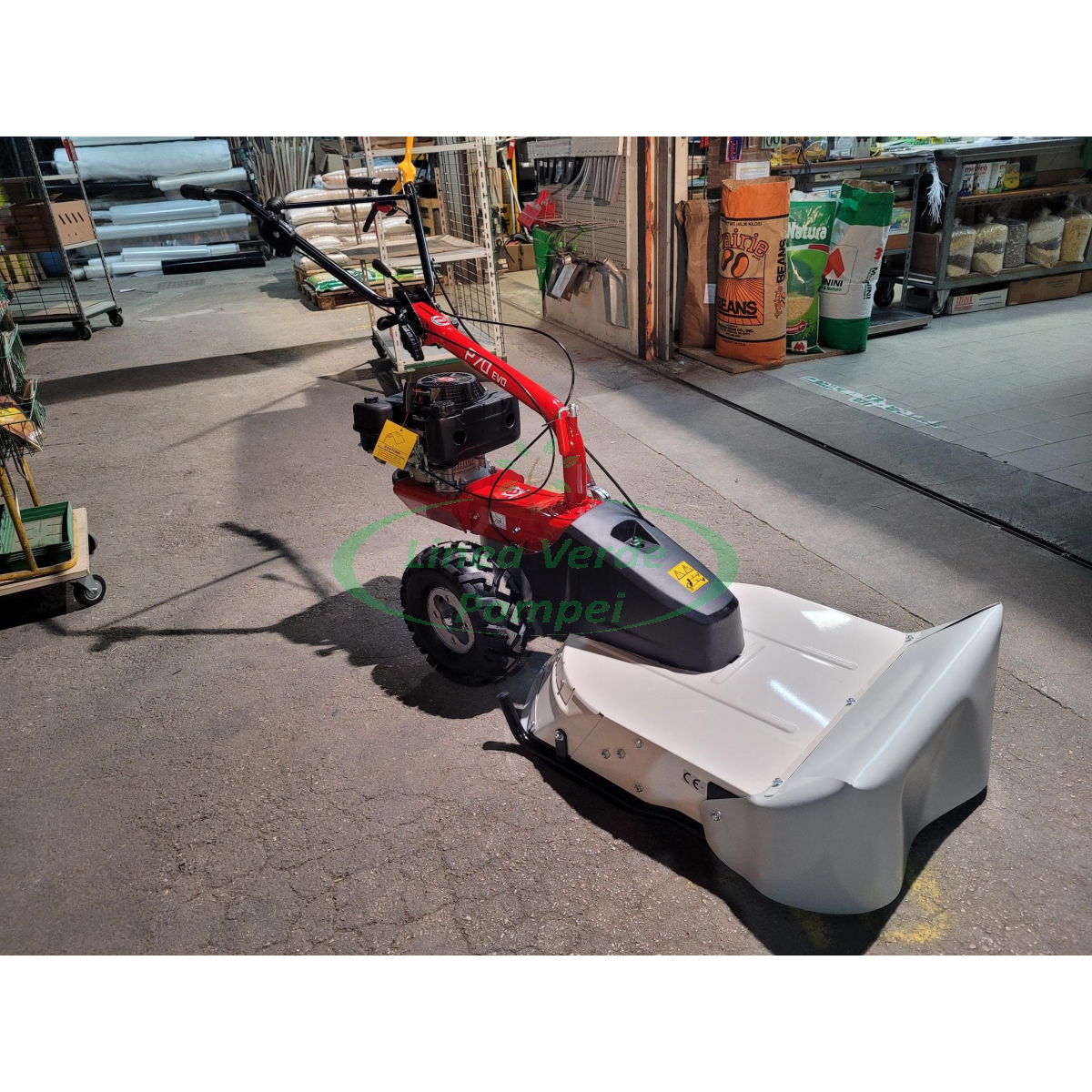 277136317_4879390115431782_7170254286257343662_n