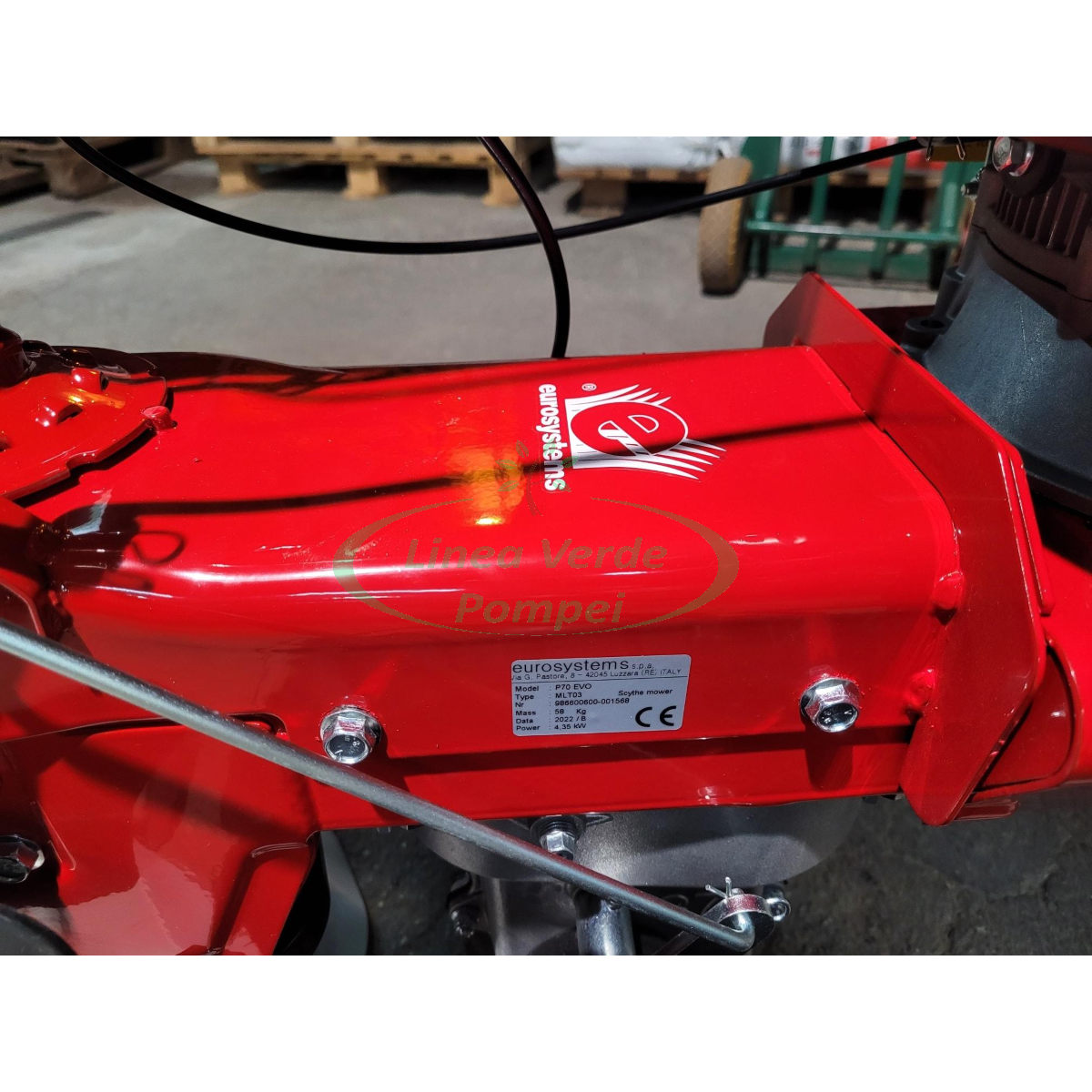 276303264_4879390222098438_5849543985431850883_n