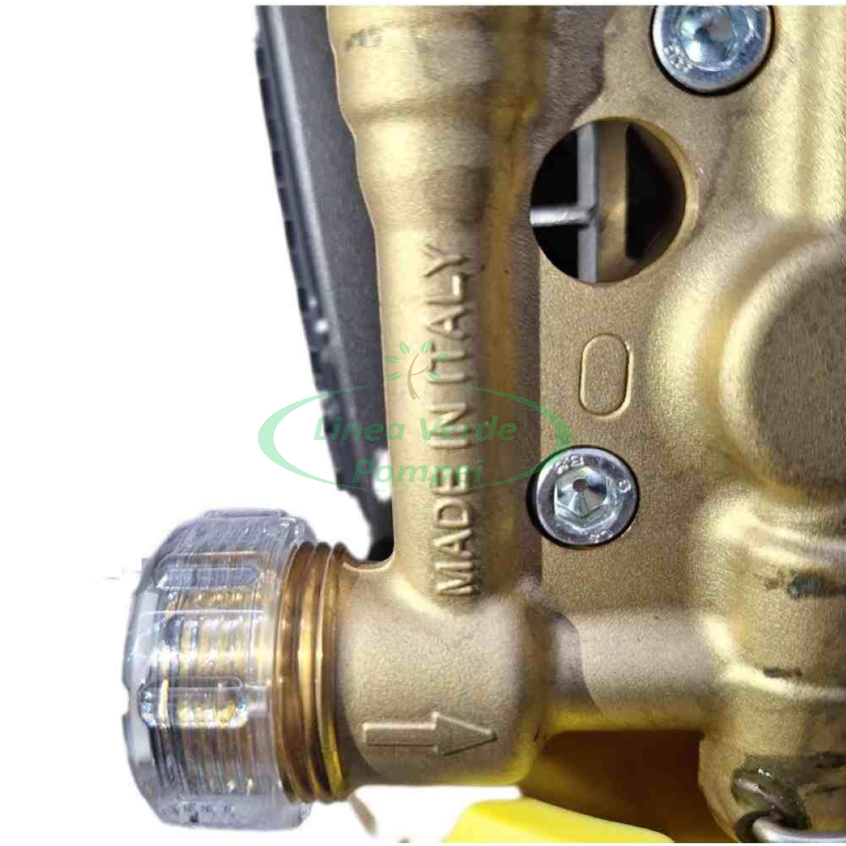 BackgroundEraser_20231123_194824798