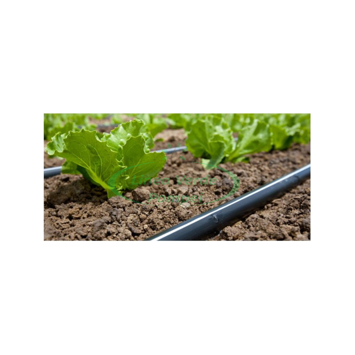 manichetta-mago-o16-mm-10-cm-bobina-2200-mt (2)