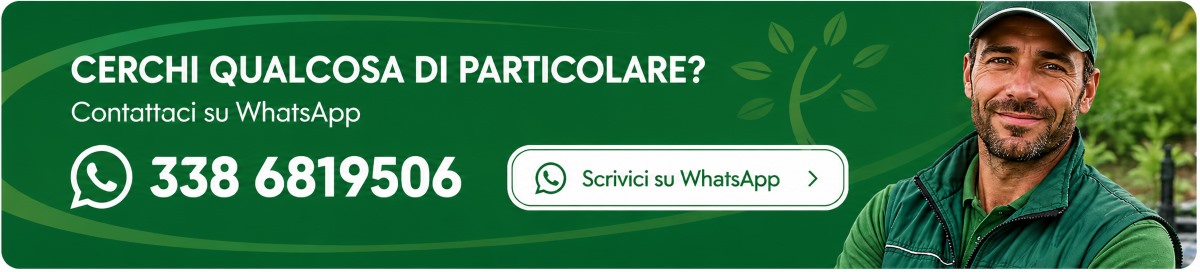Contattaci su WhatsApp - Linea Verde Pompei